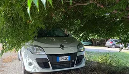 Aste giudiziarie mobiliari online - 5.0