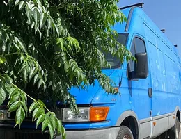 Aste giudiziarie mobiliari online - 1.0