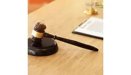 Aste giudiziarie mobiliari online - 7.0