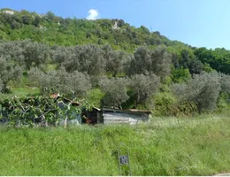 Aste giudiziarie immobiliari online - 2.0