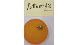 Aste giudiziarie mobiliari online - 11.0