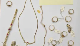 Aste giudiziarie mobiliari online - 9.0