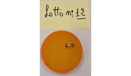 Aste giudiziarie mobiliari online - 1.0