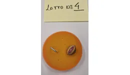 Aste giudiziarie mobiliari online - 2.0