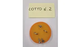 Aste giudiziarie mobiliari online - 6.0