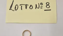 Aste giudiziarie mobiliari online - 3.0