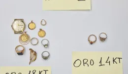 Aste giudiziarie mobiliari online - 12.0