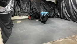 Aste giudiziarie immobiliari online - 12.0