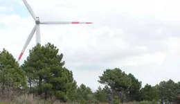 Aste giudiziarie immobiliari online - 5.0