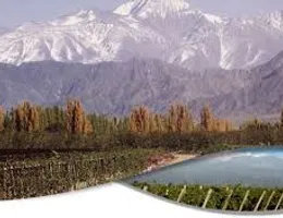 Aste giudiziarie immobiliari online - 11.0