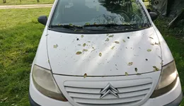 Aste giudiziarie mobiliari online - 1.0