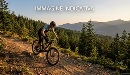Aste giudiziarie mobiliari online - 1.0