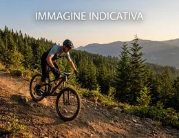 Aste giudiziarie mobiliari online - 1.0