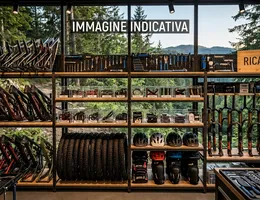 Aste giudiziarie mobiliari online - 12.0
