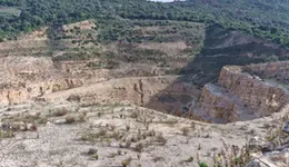 Aste giudiziarie beni immateriali online - 1.0