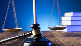 Aste giudiziarie mobiliari online - 8.0