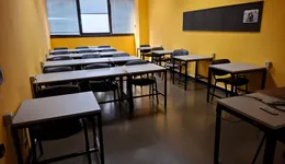 Aste giudiziarie mobiliari online - 11.0
