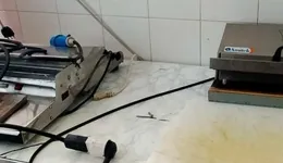 Aste giudiziarie mobiliari online - 8.0