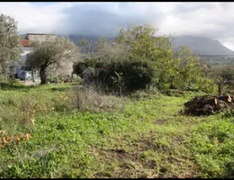 Aste giudiziarie immobiliari online - 4.0