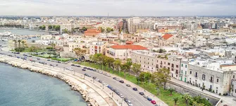 Aste giudiziarie immobiliari e fallimentari online - 1.8