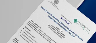 Aste giudiziarie immobiliari e fallimentari online - 1.9