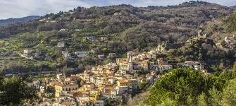 Aste giudiziarie immobiliari e fallimentari online - 1.9